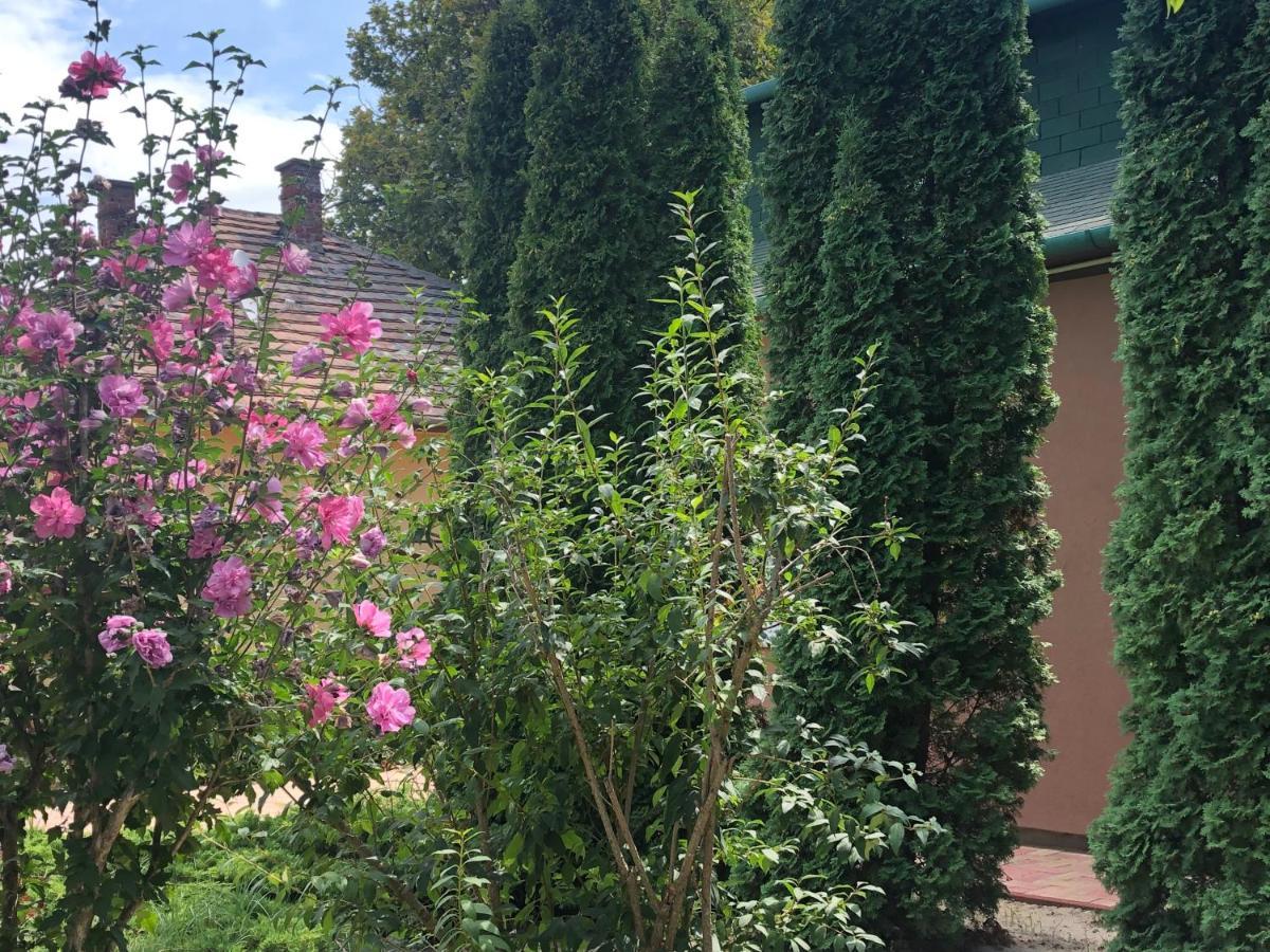 Villa Casa Mia Balatonlelle Eksteriør bilde